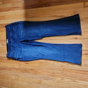 Democracy  AB solution Itty bitty boot cut